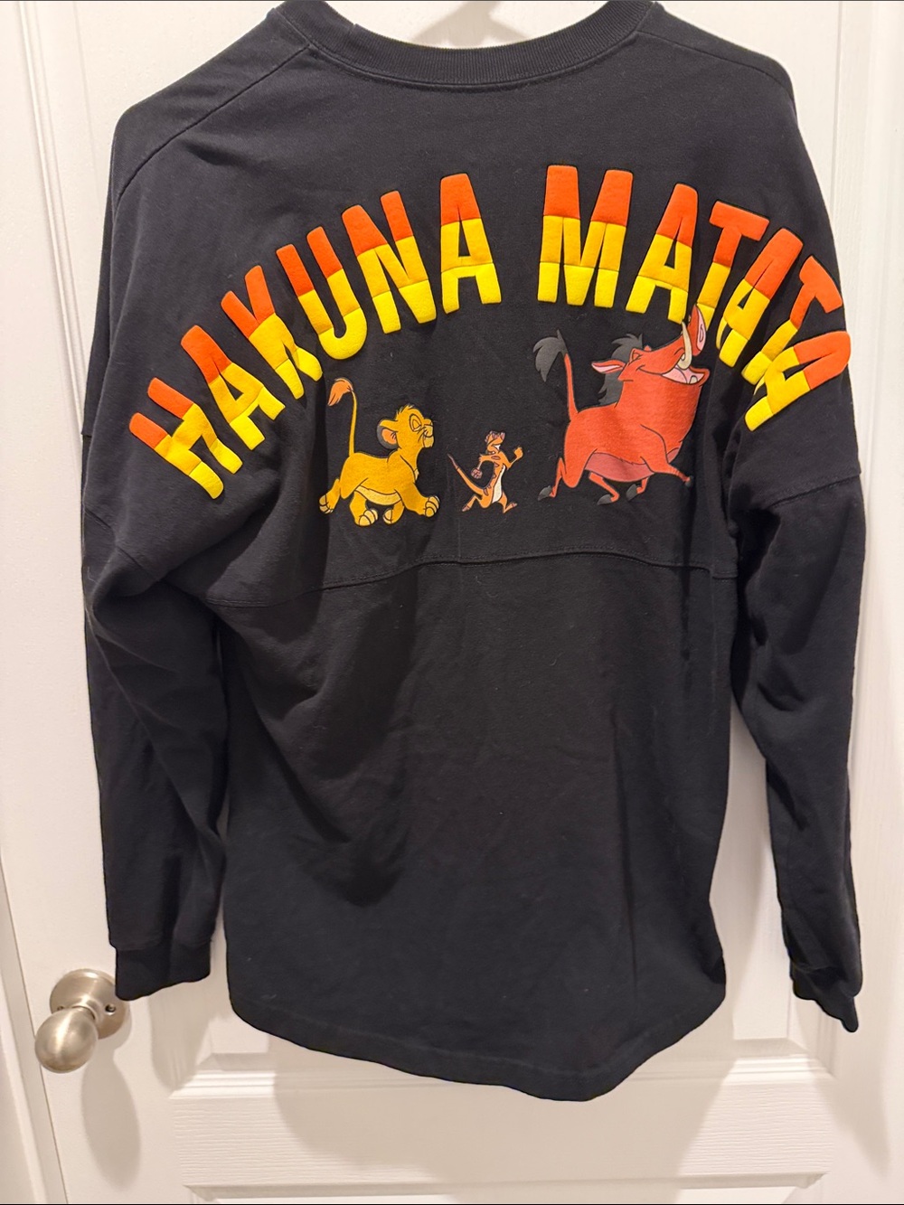 Disney’s Hakuna Matata spirit jersey size small